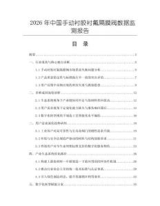 2026年中国手动衬胶衬氟隔膜阀数据监测报告