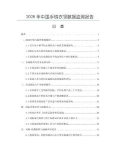 2026年中國手鉤衣領數據監測報告