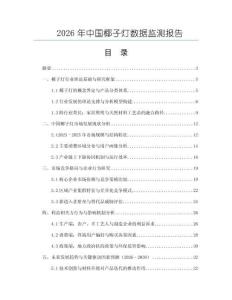 2026年中國(guó)椰子燈數(shù)據(jù)監(jiān)測(cè)報(bào)告