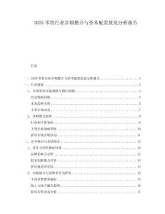 2025零售行業(yè)并購整合與資本配置優(yōu)化分析報告