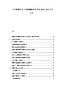 2025燃料電池雙極板材料耐久性提升技術路線分析報告