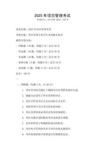 2025年項目管理考試