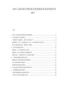 2025云端過程可視化技術發展現狀及商業價值評估報告