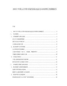 2025中國云計算市場發展動態及未來增長預測報告