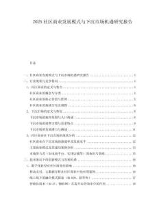 2025社區商業發展模式與下沉市場機遇研究報告