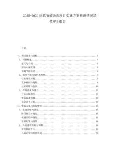 2025-2030建筑節能改造項目實施方案推進情況績效審計報告
