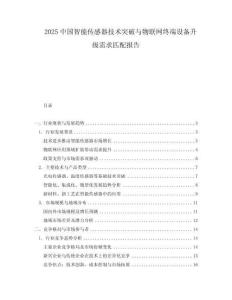 2025中國智能傳感器技術突破與物聯網終端設備升級需求匹配報告