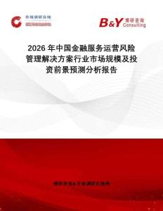 2026年中國金融服務運營風險管理解決方案行業市場規模及投資前景預測分析報告