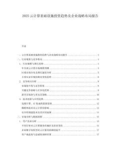 2025云計算基礎(chǔ)設(shè)施投資趨勢及企業(yè)戰(zhàn)略布局報告