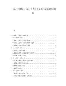 2025中國稀土永磁材料全球競爭格局及技術壁壘報告
