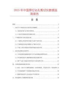 2025年中國原位鉆孔剪切儀數據監測報告