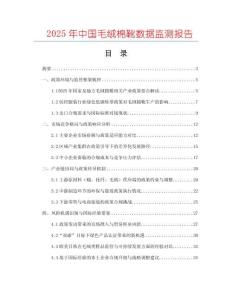 2025年中國毛絨棉靴數據監測報告