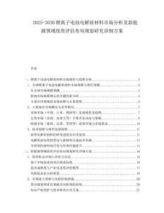 2025-2030锂离子电池电解质材料市场分析及新能源领域投资评估布局规划研究详细方案