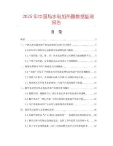 2025年中国热水电加热器数据监测报告