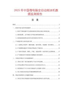 2025年中國微電腦全自動削冰機數據監測報告
