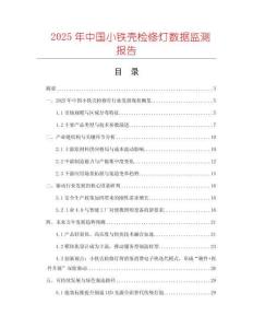 2025年中國小鐵殼檢修燈數據監測報告