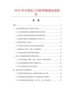 2025年中國免刀切膠帶數據監測報告
