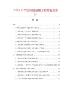 2025年中國阿拉伯帽子數據監測報告