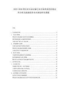 2025-2030利比亚石油运输行业市场需求供给稳定性分析及能源投资布局规划研究课题