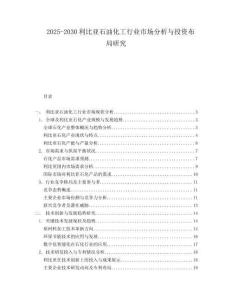 2025-2030利比亚石油化工行业市场分析与投资布局研究