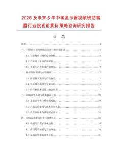 2026及未來5年中國顯示器視頻線防雷器行業投資前景及策略咨詢研究報告