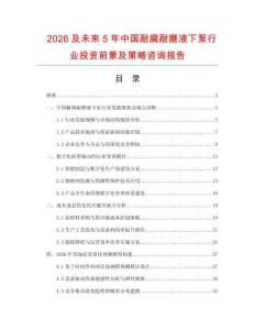 2026及未來5年中國耐腐耐磨液下泵行業投資前景及策略咨詢報告