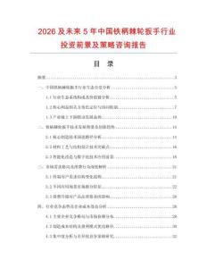 2026及未來5年中國鐵柄棘輪扳手行業投資前景及策略咨詢報告