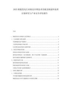 2025核能發(fā)電行業(yè)核反應(yīng)堆技術(shù)突破及核廢料處理方案研究與產(chǎn)業(yè)安全評(píng)估報(bào)告