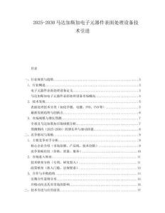 2025-2030馬達加斯加電子元器件表面處理設備技術引進