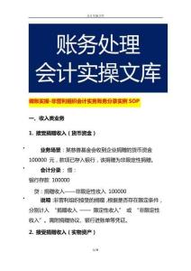 做賬實操-非營利組織會計實務賬務分錄實例SOP