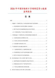 2026年中国防辐射V字领绣花背心数据监测报告