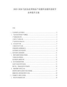 2025-2030馬拉加皮革制品產業循環水循環系統節水率提升方案