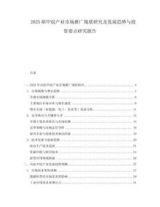 2025硔甲烷产业市场推广现状研究及发展趋势与投资要点研究报告