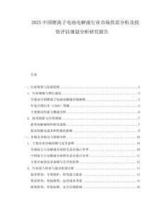 2025中国锂离子电池电解液行业市场供需分析及投资评估规划分析研究报告