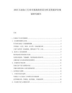 2025石油加工行業市場現狀供需分析及資源評估規劃研究報告
