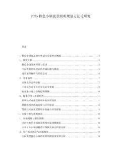 2025特色小鎮(zhèn)夜景照明規(guī)劃方法論研究