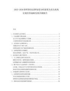 2025-2030律師事務品牌角度分析演變為龍頭機構宏觀經營戰略發展評測報告