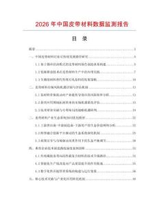 2026年中國(guó)皮帶材料數(shù)據(jù)監(jiān)測(cè)報(bào)告