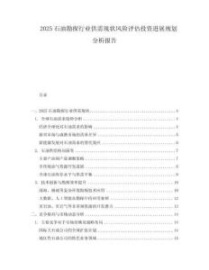 2025石油勘探行業供需現狀風險評估投資進展規劃分析報告