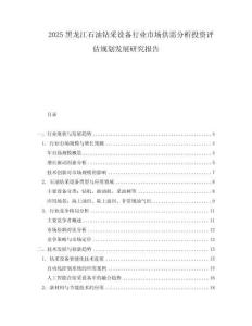 2025黑龍江石油鉆采設備行業市場供需分析投資評估規劃發展研究報告