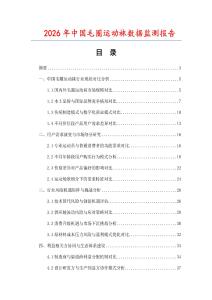 2026年中國毛圈運動襪數據監(jiān)測報告