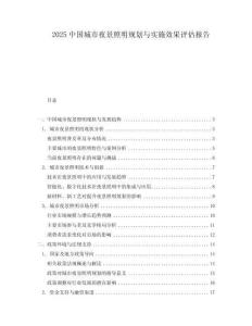 2025中國(guó)城市夜景照明規(guī)劃與實(shí)施效果評(píng)估報(bào)告