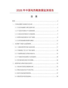 2026年中國電熱靴數據監測報告