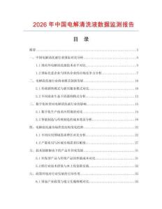 2026年中国电解清洗液数据监测报告