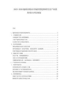 2025-2030錳材冶煉業(yè)市場供需趨勢研究及產(chǎn)業(yè)投資項目評估規(guī)劃