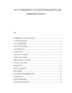 2025中国耐磨材料行业市场发展趋势深度研究及超级耐磨材料发展前景