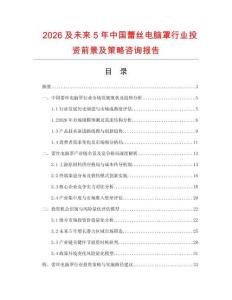 2026及未來5年中國蕾絲電腦罩行業投資前景及策略咨詢報告