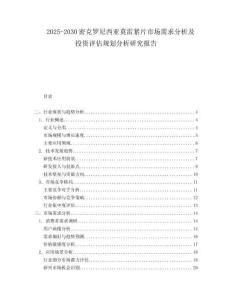 2025-2030密克羅尼西亞莫雷緊片市場(chǎng)需求分析及投資評(píng)估規(guī)劃分析研究報(bào)告
