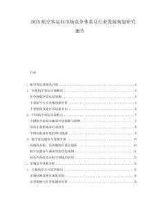 2025航空客運(yùn)業(yè)市場競爭體系及行業(yè)發(fā)展規(guī)劃研究報(bào)告