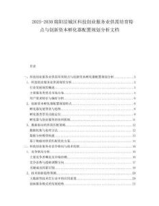 2025-2030綿陽涪城區科技創業服務業供需培育特點與創新資本孵化器配置規劃分析文檔